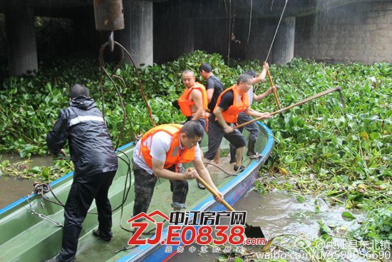 中江县东北镇水葫芦清理